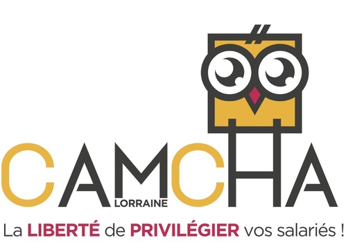 Démonstration Visio : Solutions CAMCHA LORRAINE